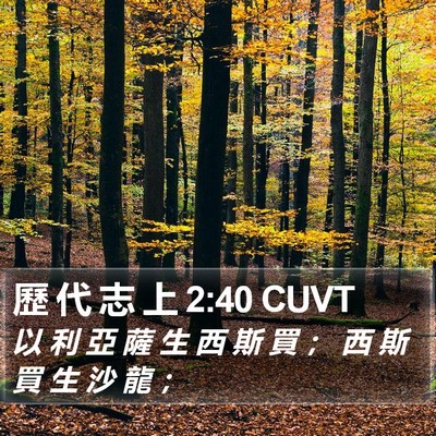 歷 代 志 上 2:40 CUVT Bible Verse Image