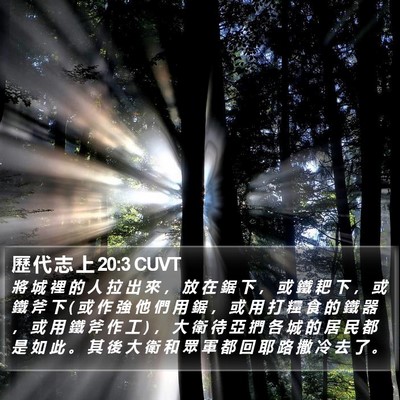 歷 代 志 上 20:3 CUVT Bible Verse Image