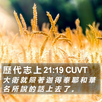 歷 代 志 上 21:19 CUVT Bible Verse Image