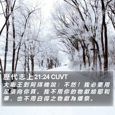歷 代 志 上 21:24 CUVT Bible Verse Image