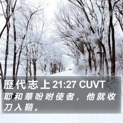 歷 代 志 上 21:27 CUVT Bible Verse Image