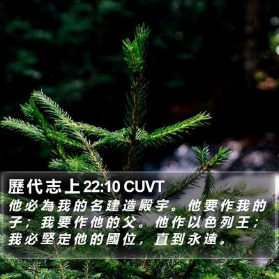 歷 代 志 上 22:10 CUVT Bible Verse Image