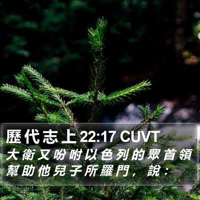 歷 代 志 上 22:17 CUVT Bible Verse Image