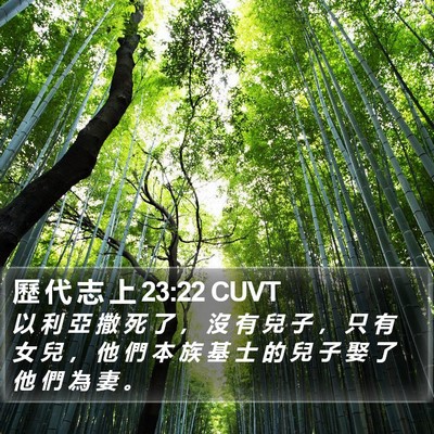 歷 代 志 上 23:22 CUVT Bible Verse Image