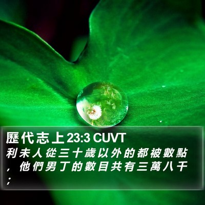 歷 代 志 上 23:3 CUVT Bible Verse Image