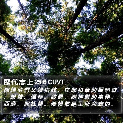 歷 代 志 上 25:6 CUVT Bible Verse Image
