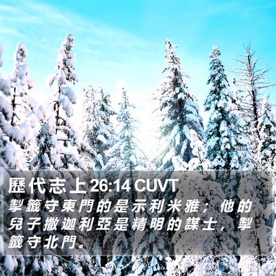 歷 代 志 上 26:14 CUVT Bible Verse Image