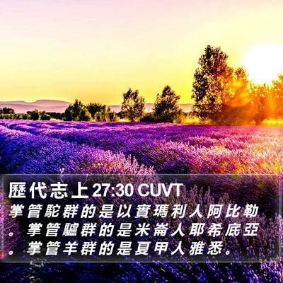 歷 代 志 上 27:30 CUVT Bible Verse Image