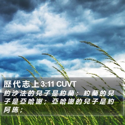 歷 代 志 上 3:11 CUVT Bible Verse Image