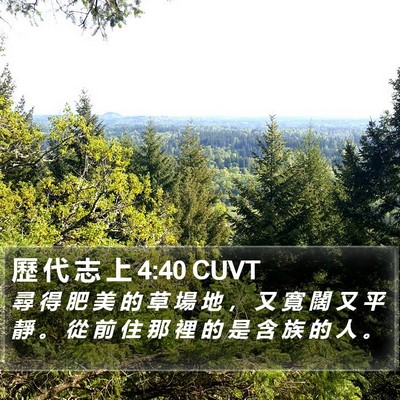 歷 代 志 上 4:40 CUVT Bible Verse Image