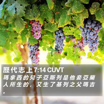 歷 代 志 上 7:14 CUVT Bible Verse Image