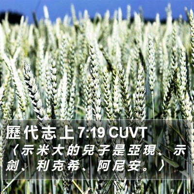 歷 代 志 上 7:19 CUVT Bible Verse Image