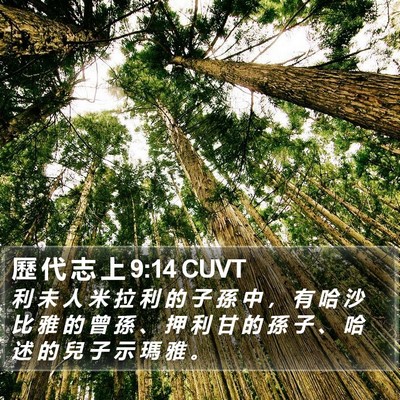 歷 代 志 上 9:14 CUVT Bible Verse Image