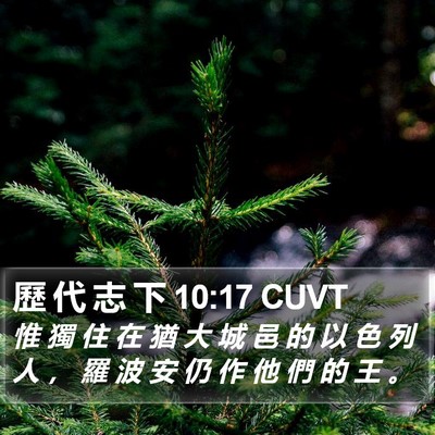 歷 代 志 下 10:17 CUVT Bible Verse Image