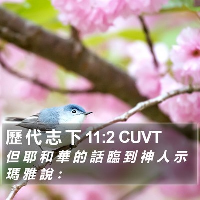 歷 代 志 下 11:2 CUVT Bible Verse Image