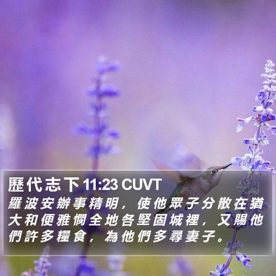 歷 代 志 下 11:23 CUVT Bible Verse Image