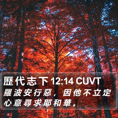 歷 代 志 下 12:14 CUVT Bible Verse Image