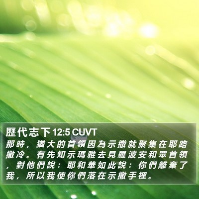 歷 代 志 下 12:5 CUVT Bible Verse Image