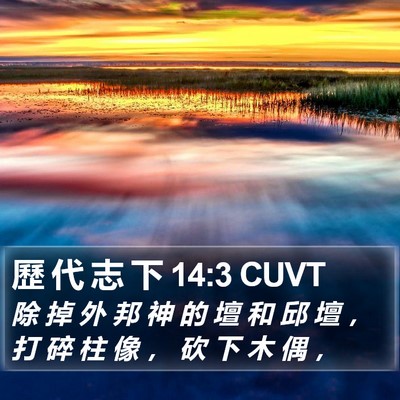 歷 代 志 下 14:3 CUVT Bible Verse Image