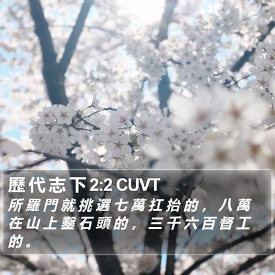 歷 代 志 下 2:2 CUVT Bible Verse Image