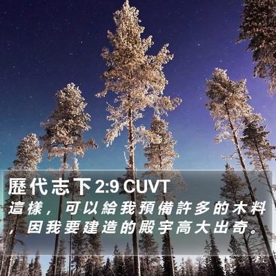 歷 代 志 下 2:9 CUVT Bible Verse Image
