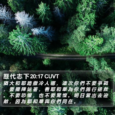 歷 代 志 下 20:17 CUVT Bible Verse Image