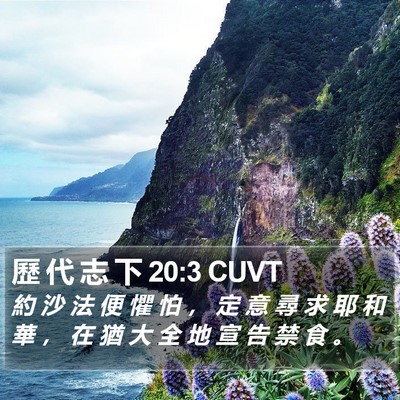 歷 代 志 下 20:3 CUVT Bible Verse Image