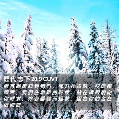 歷 代 志 下 20:9 CUVT Bible Verse Image