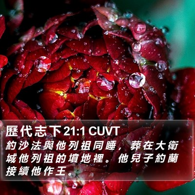 歷 代 志 下 21:1 CUVT Bible Verse Image