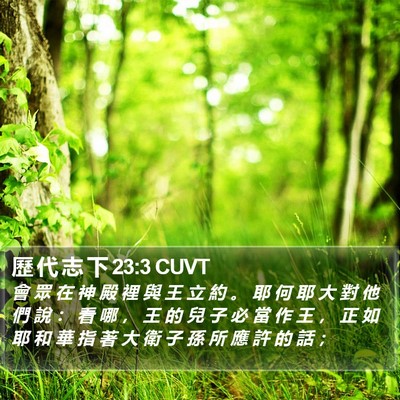 歷 代 志 下 23:3 CUVT Bible Verse Image