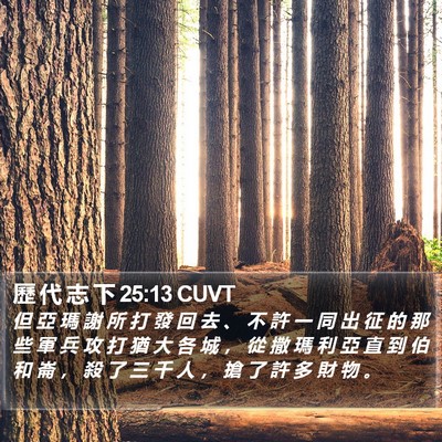 歷 代 志 下 25:13 CUVT Bible Verse Image