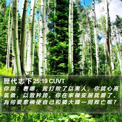 歷 代 志 下 25:19 CUVT Bible Verse Image
