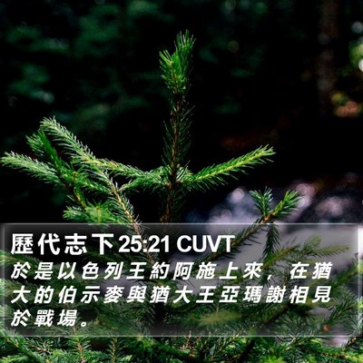 歷 代 志 下 25:21 CUVT Bible Verse Image