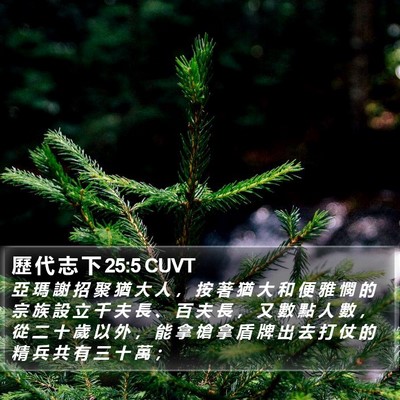 歷 代 志 下 25:5 CUVT Bible Verse Image