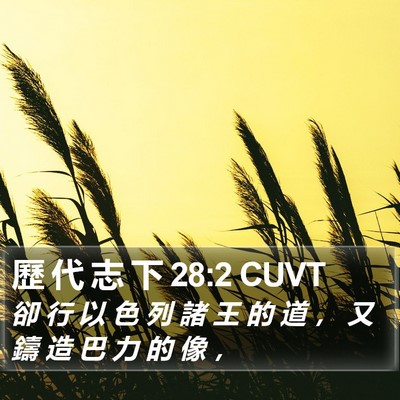歷 代 志 下 28:2 CUVT Bible Verse Image