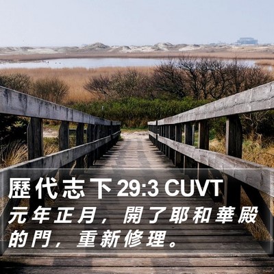 歷 代 志 下 29:3 CUVT Bible Verse Image