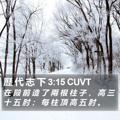 歷 代 志 下 3:15 CUVT Bible Verse Image
