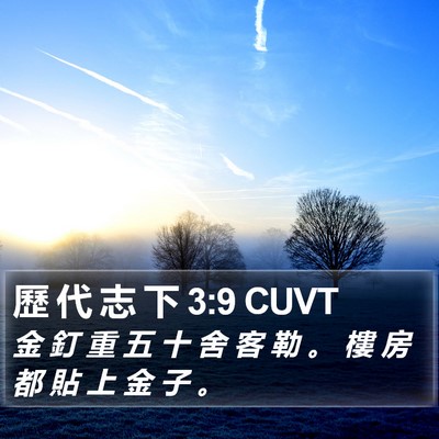 歷 代 志 下 3:9 CUVT Bible Verse Image