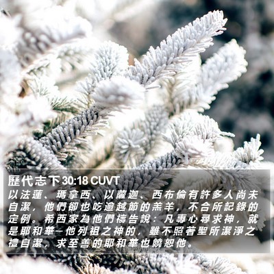 歷 代 志 下 30:18 CUVT Bible Verse Image
