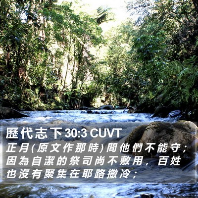 歷 代 志 下 30:3 CUVT Bible Verse Image
