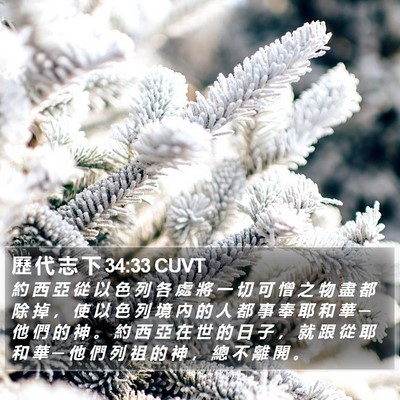 歷 代 志 下 34:33 CUVT Bible Verse Image