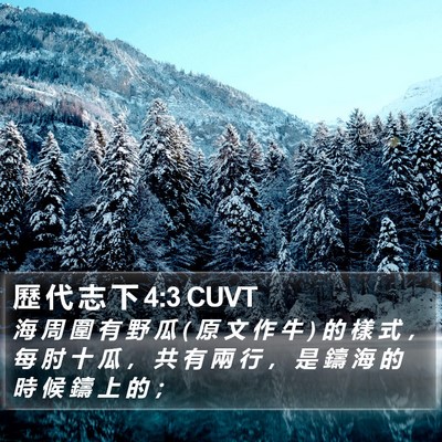 歷 代 志 下 4:3 CUVT Bible Verse Image