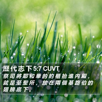 歷 代 志 下 5:7 CUVT Bible Verse Image