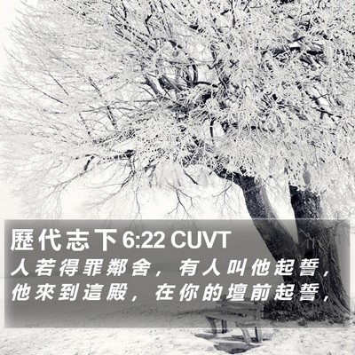 歷 代 志 下 6:22 CUVT Bible Verse Image