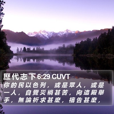 歷 代 志 下 6:29 CUVT Bible Verse Image