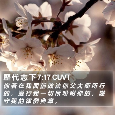 歷 代 志 下 7:17 CUVT Bible Verse Image