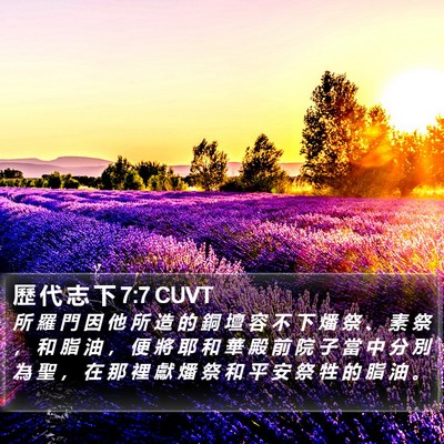 歷 代 志 下 7:7 CUVT Bible Verse Image