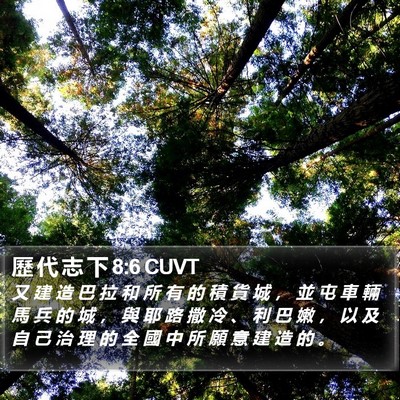 歷 代 志 下 8:6 CUVT Bible Verse Image