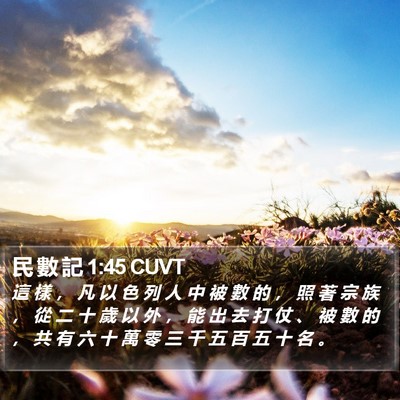民 數 記 1:45 CUVT Bible Verse Image