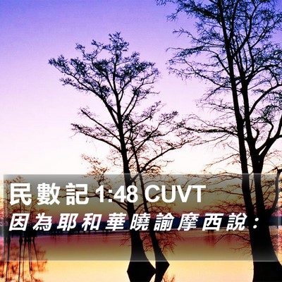 民 數 記 1:48 CUVT Bible Verse Image
